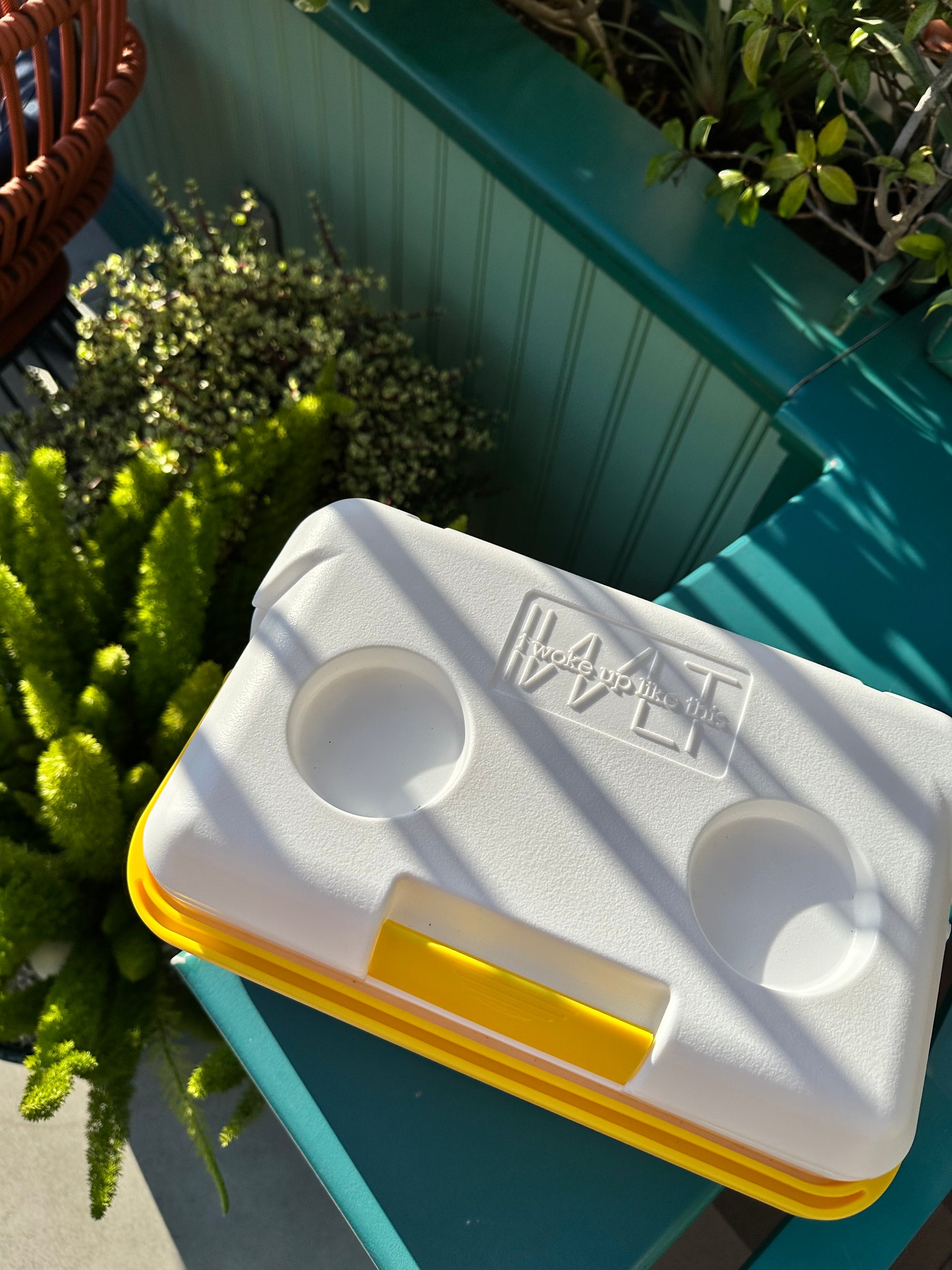 IWLT Ice Cooler