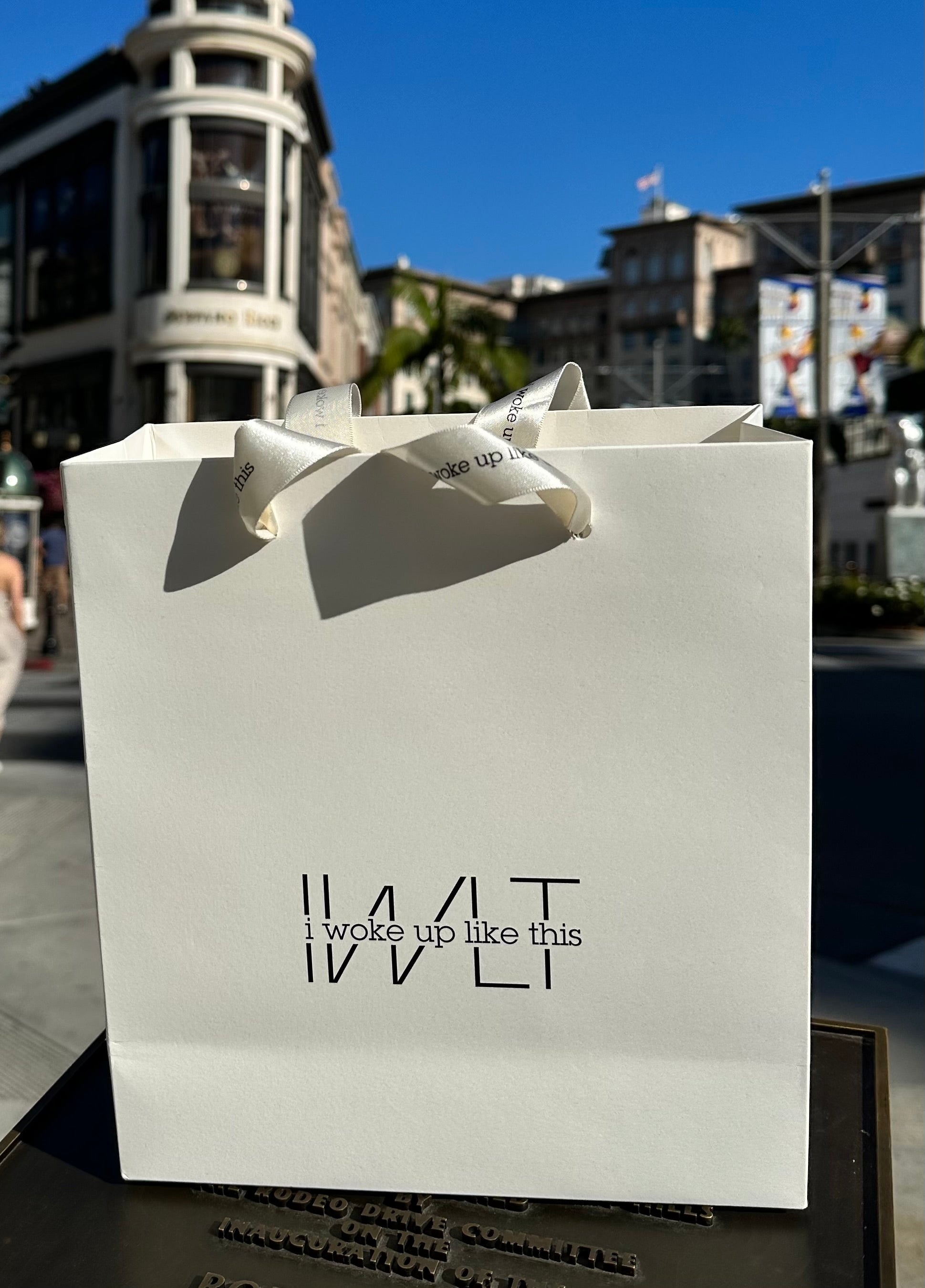 IWLT Gift Bag